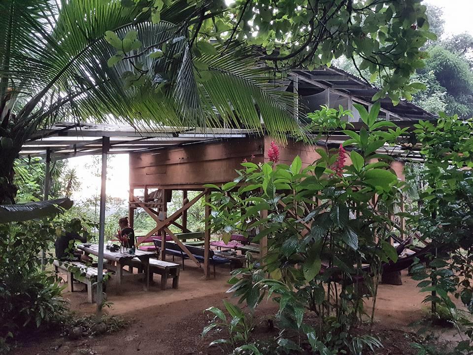 Bolita Rainforest Hostel&Cabinas Dos Brazos Exterior foto