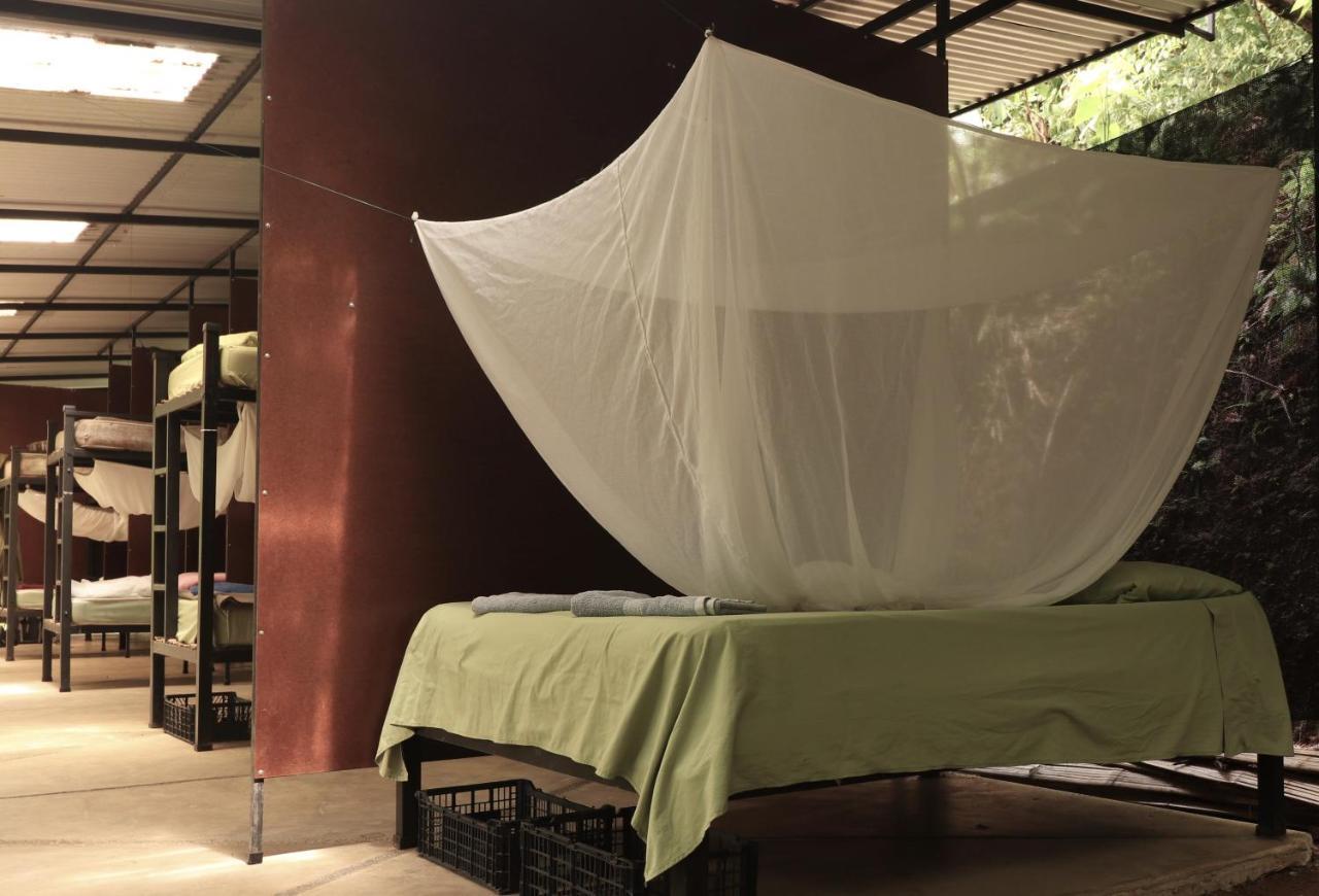 Bolita Rainforest Hostel&Cabinas Dos Brazos Exterior foto
